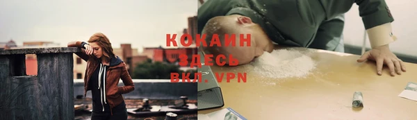ПСИЛОЦИБИНОВЫЕ ГРИБЫ Алексин