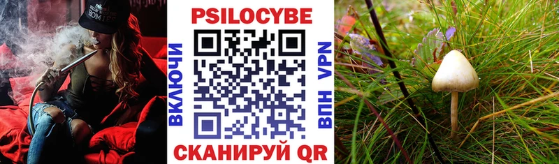 Псилоцибиновые грибы Magic Shrooms  Аргун 